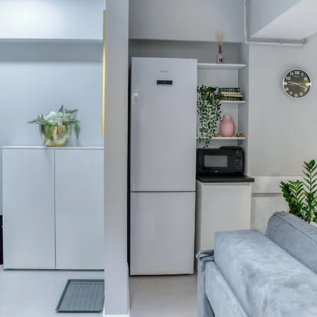 Center Haven: 1br In Union Plaza Building בוקרשט