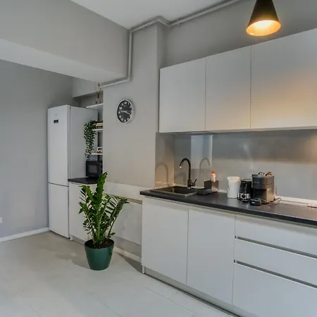 Center Haven: 1br In Union Plaza Building דירה בוקרשט
